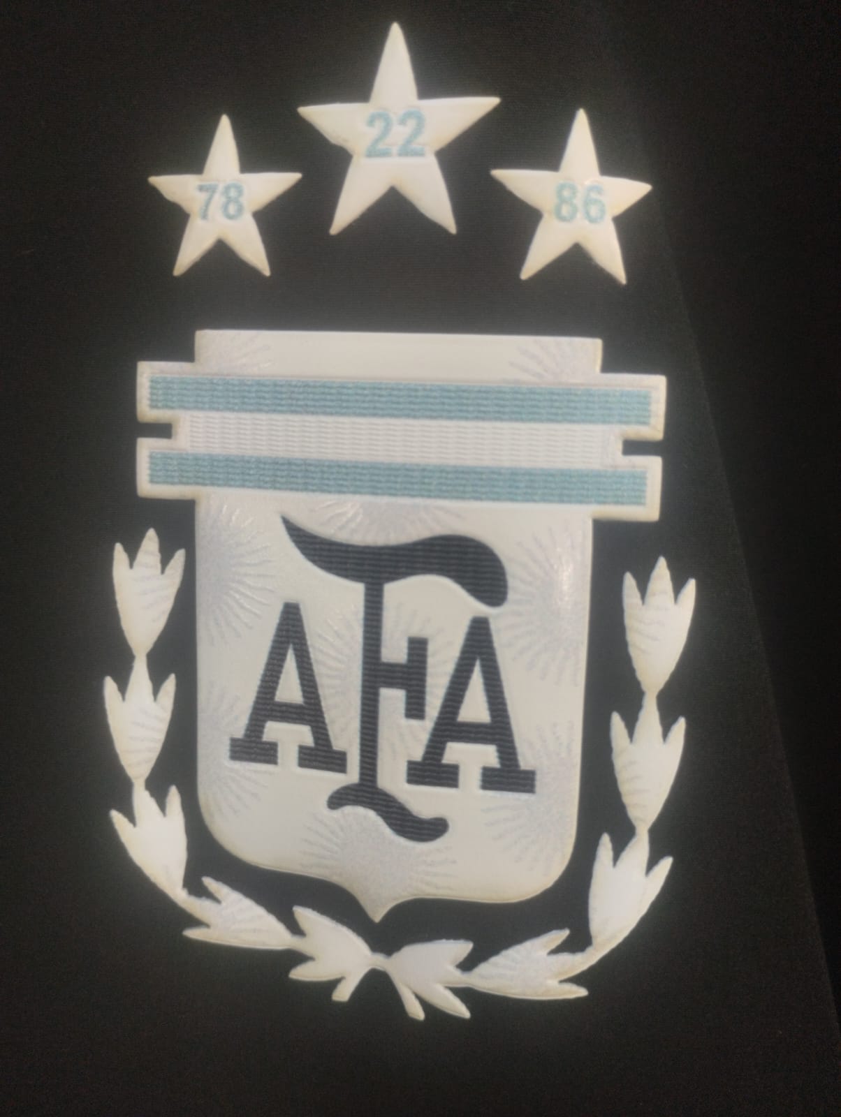 🔥 Campera Impermeable Selección Argentina – Edición Invierno